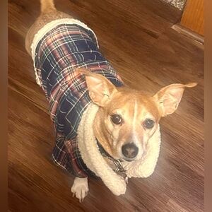 NWT Flannel Dog Shirt - Offleash By Aerie - Medium